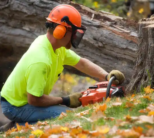 tree services North Vacherie